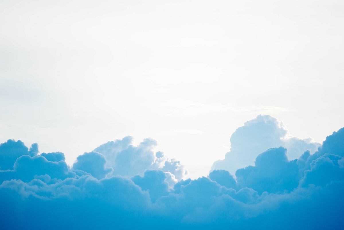 Business in the Cloud
