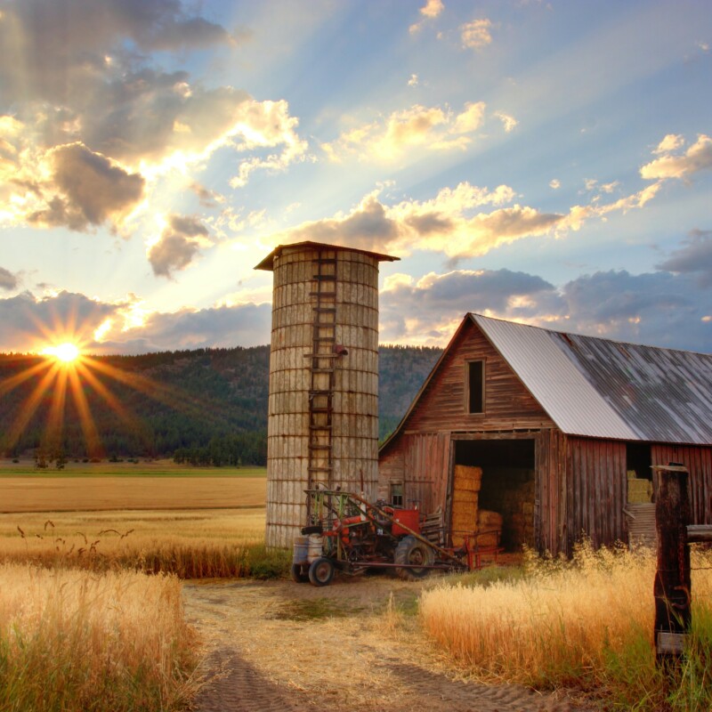 CCTV for farm