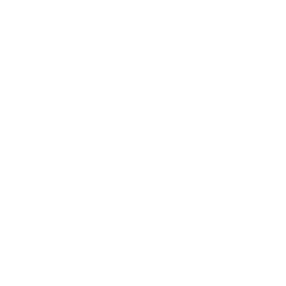 Firewall icon white