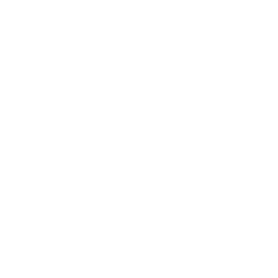 House Icon White