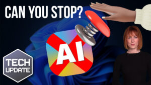 How would you stop AI in an emergency?
